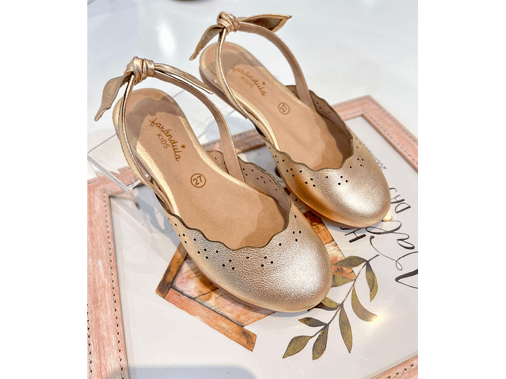 Calzado Destalonado 1