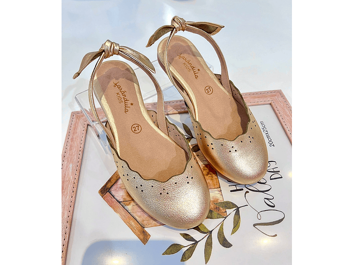 Calzado Destalonado 2