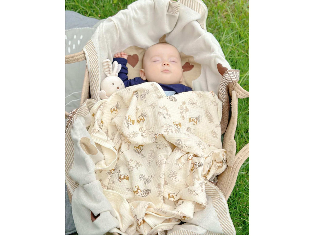 Cobija Muselina Ardilla 1