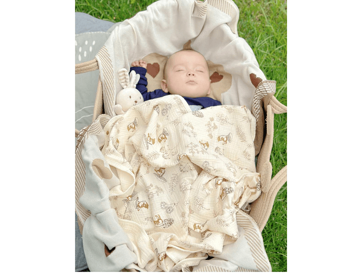 Cobija Muselina Ardilla 1