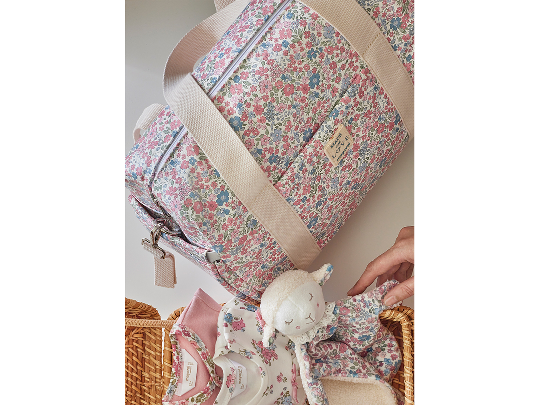 Pañalera Mayoral 2024 2