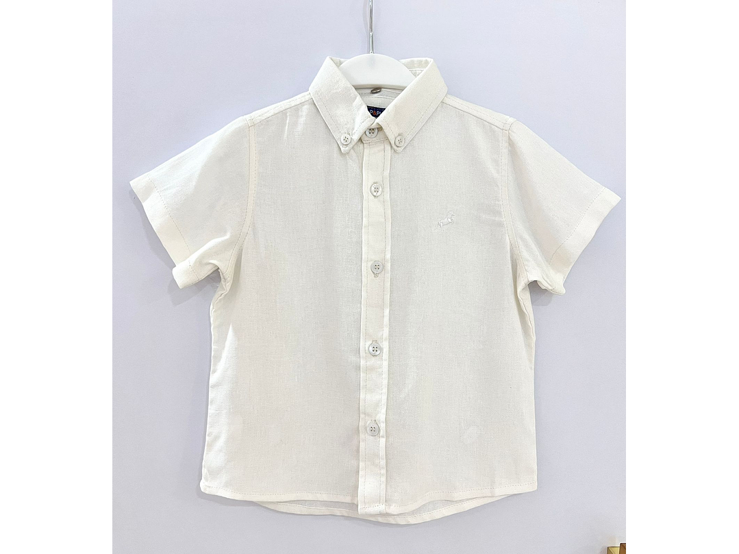 Camisa P y Punto 2024 1