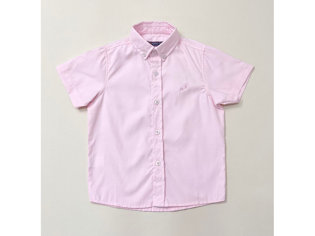 Camisa P y Punto 2024 1