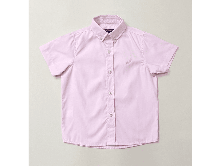 Camisa P y Punto 2024 1