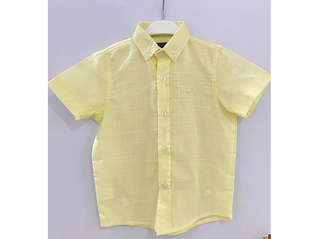 Camisa P y Punto 2024 1