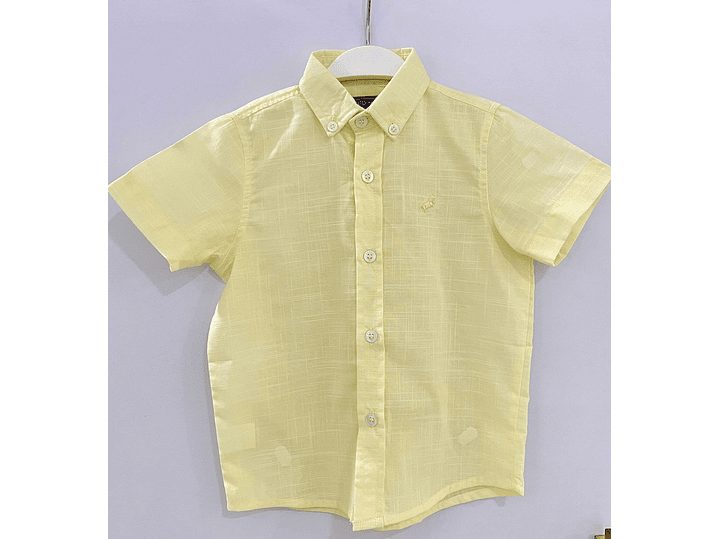 Camisa P y Punto 2024 1