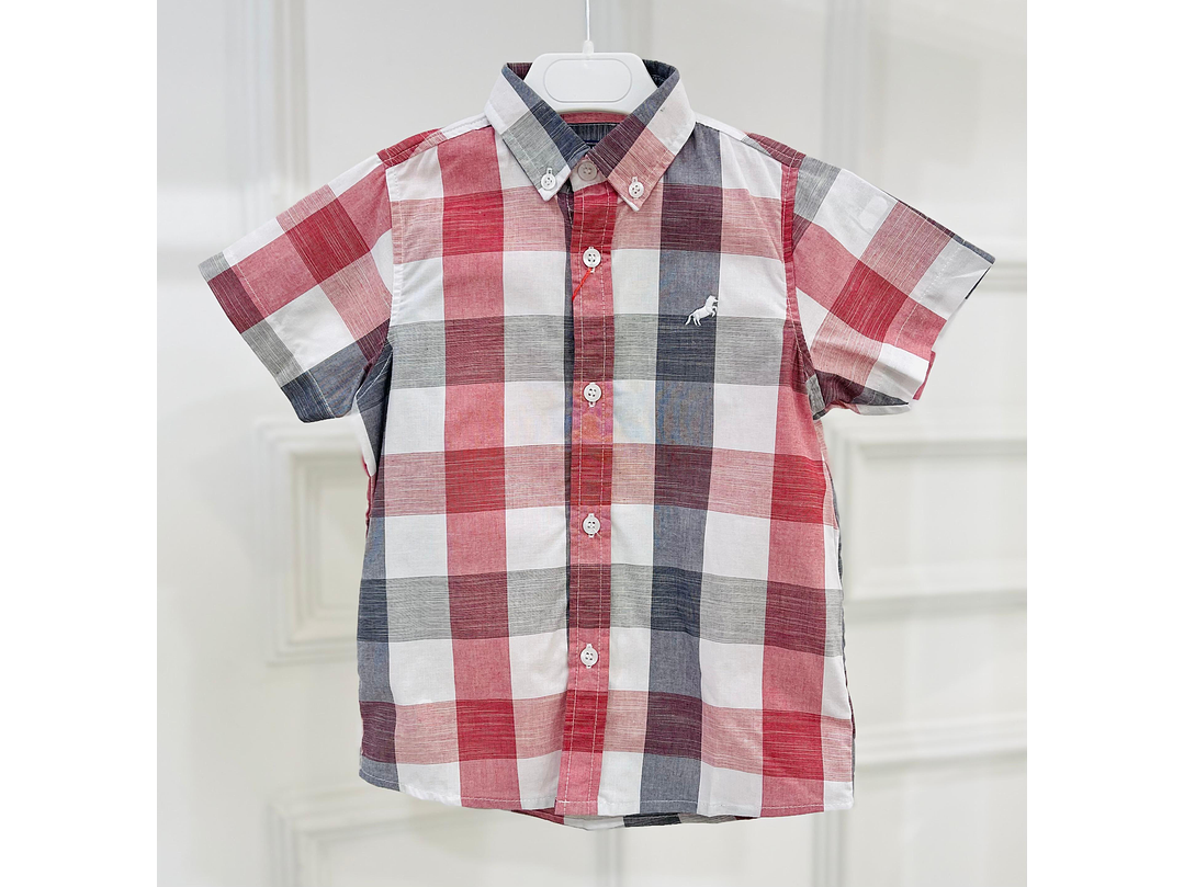 Camisa P y Punto 2024 1