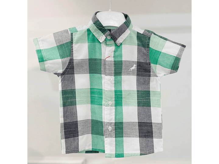 Camisa P&Punto 1