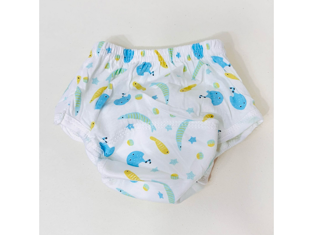 Interior Ecologico  1