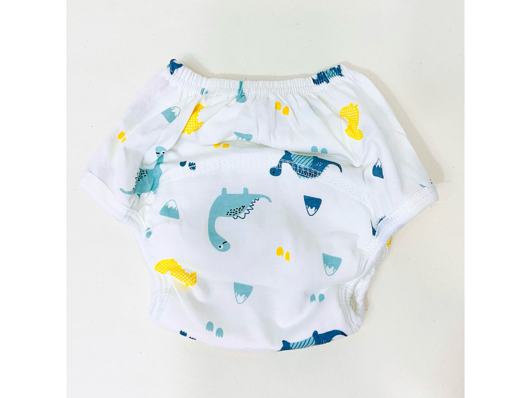 Interior Ecologico  2