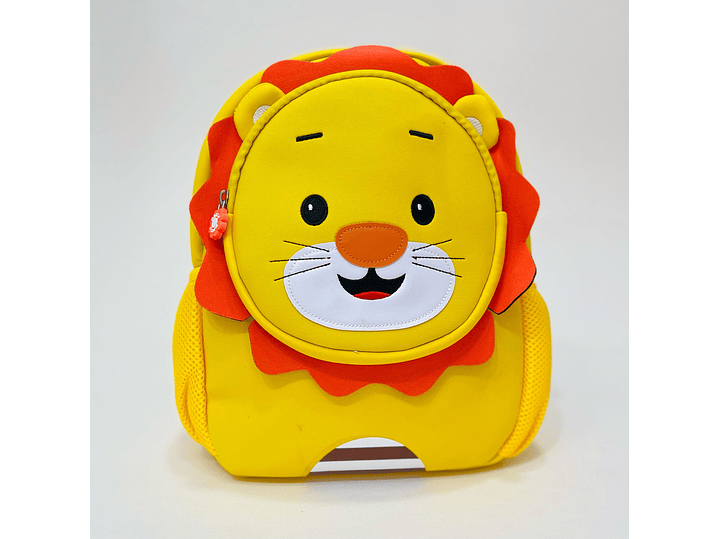 Bolso Leon 1