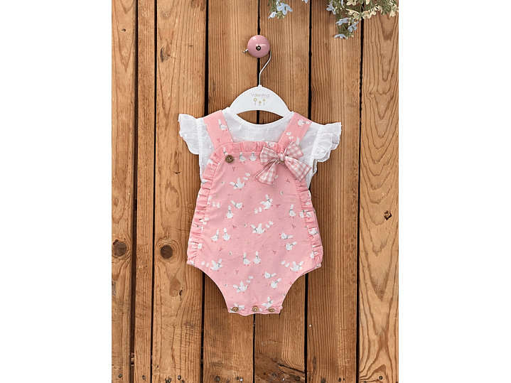 Set Español Cisne  1