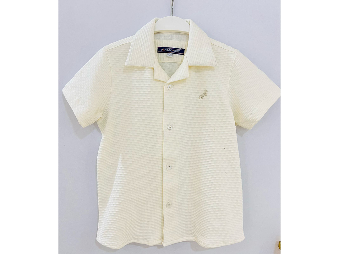 Polo P y Punto  1