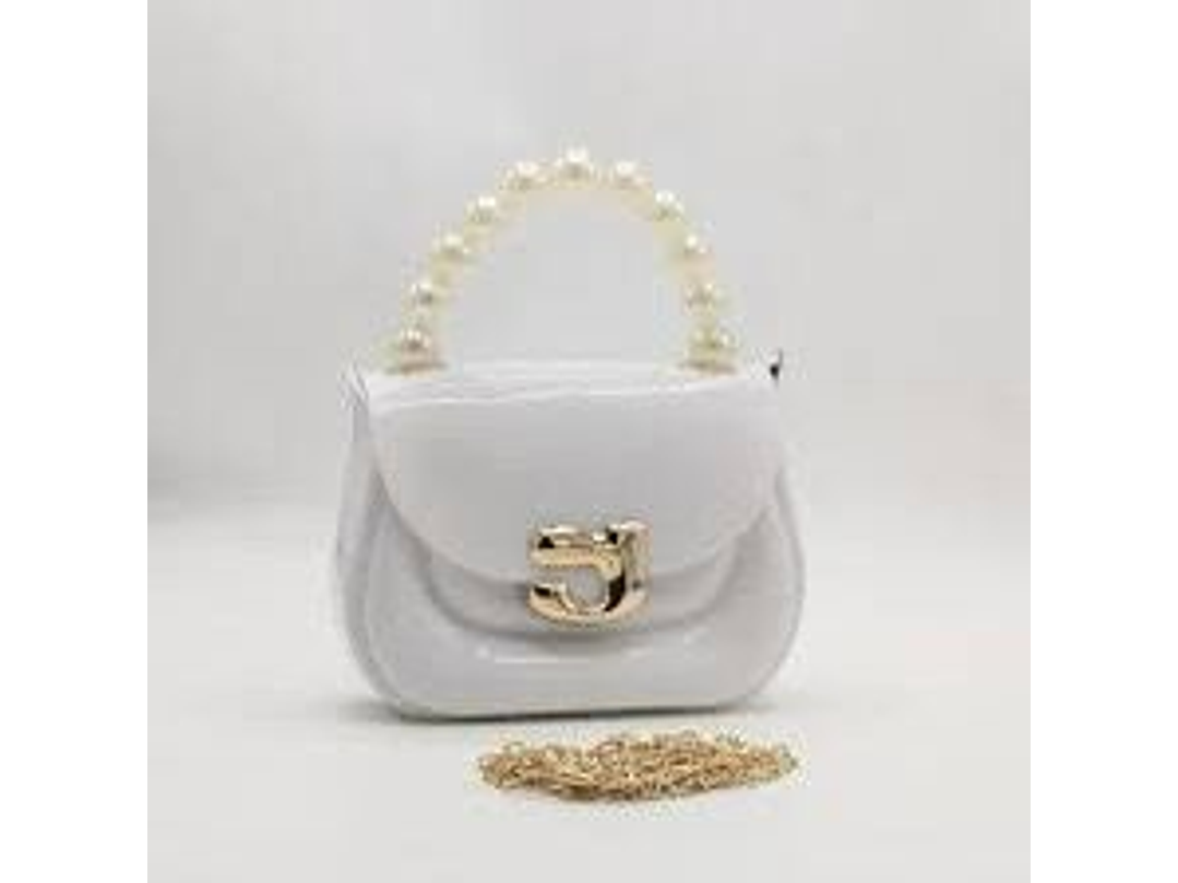 Bolso Fashionista 2