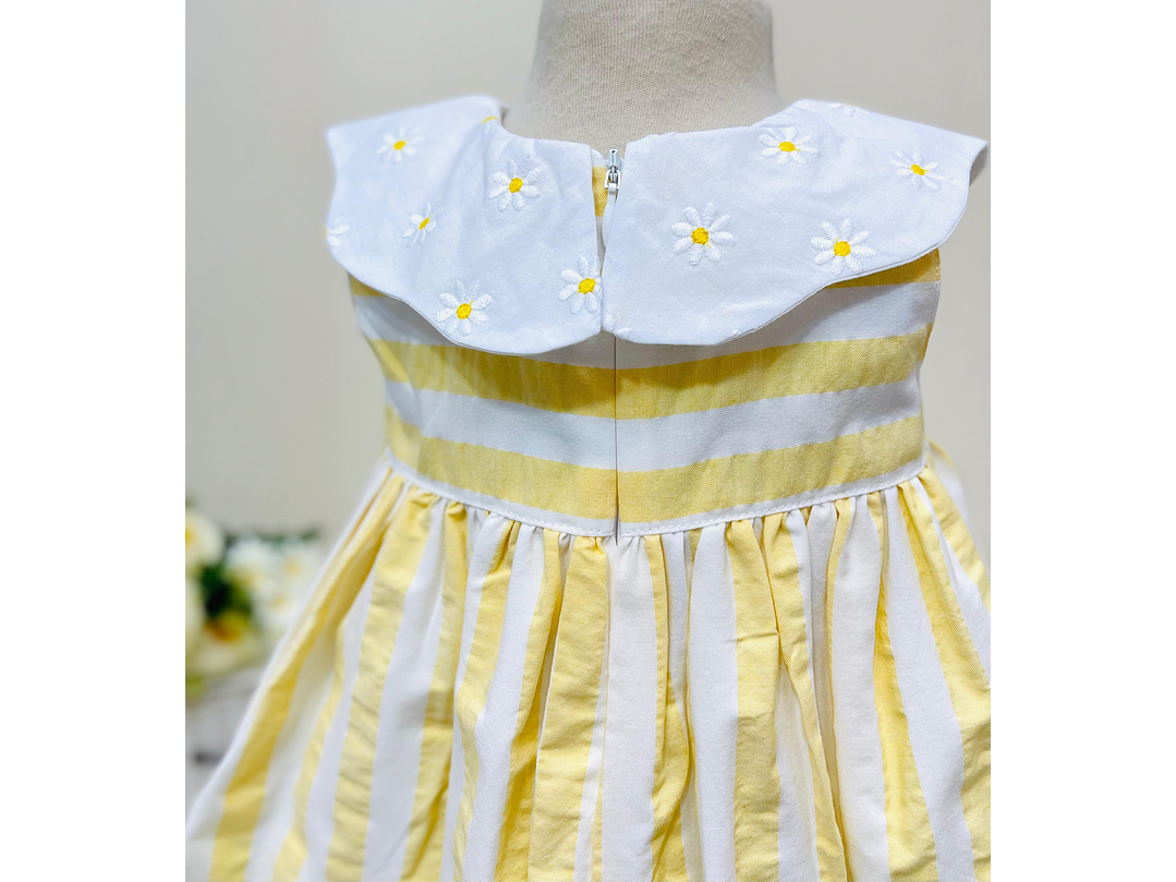 Vestido Rayas Deolinda 5