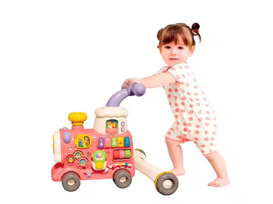 Caminador Multifuncional 2