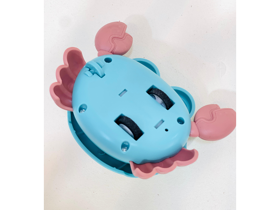 Cangrejo De Estimulacion 6