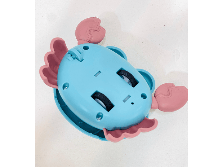 Cangrejo De Estimulacion 6