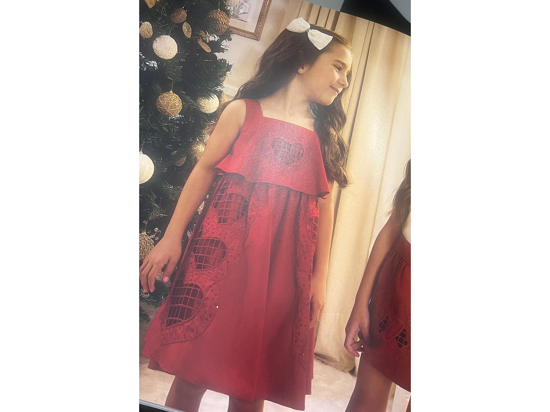 Vestido Milon Bordado 4