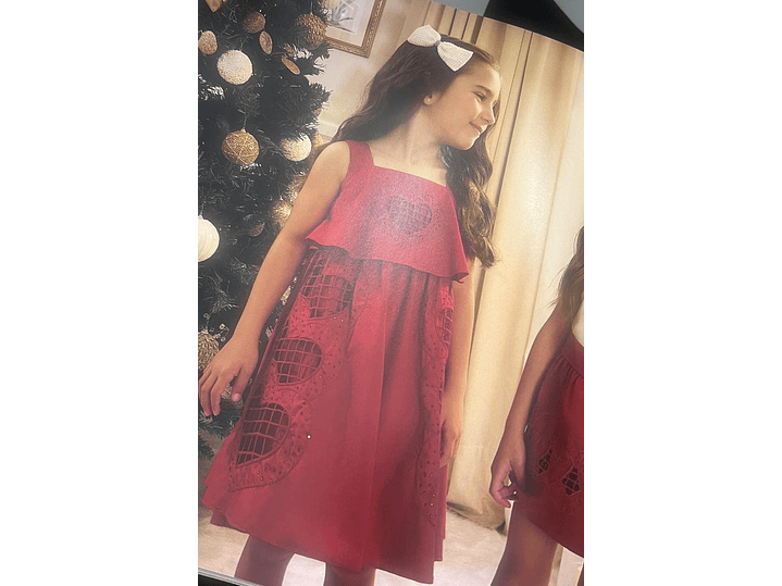 Vestido Milon Bordado 4