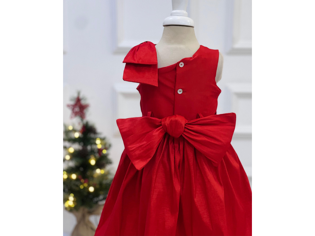 Vestido Erika Snurbusch 2