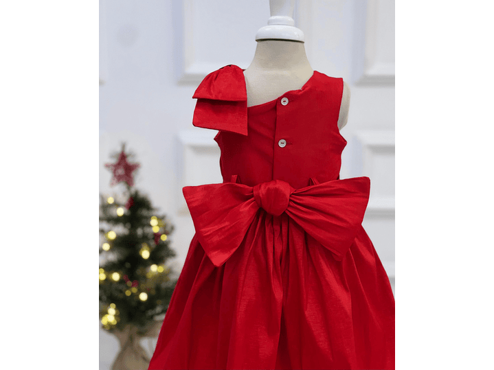 Vestido Erika Snurbusch 2