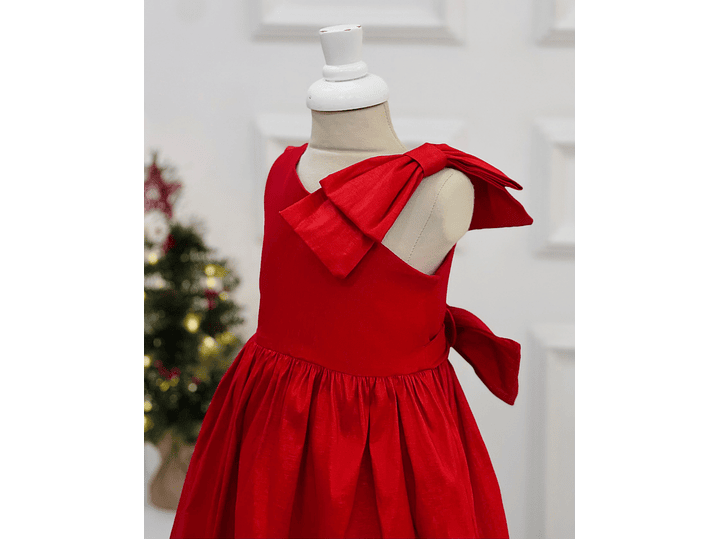 Vestido Erika Snurbusch 4