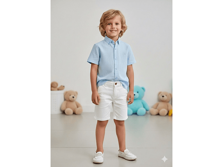 Camsa Lino Celeste 1