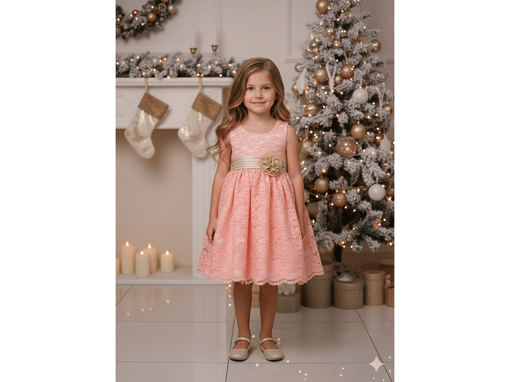 Vestido Bordado July 1