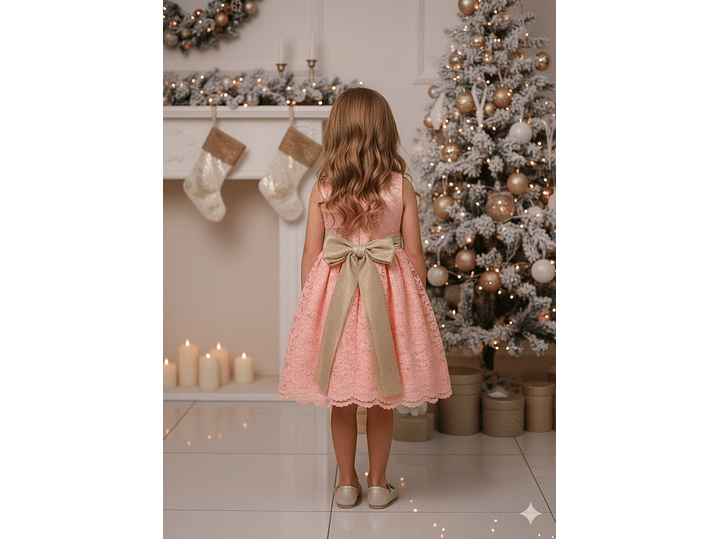 Vestido Bordado July 2