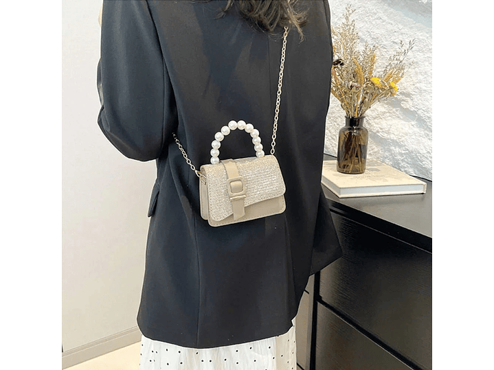 Cartera Fashionista 4