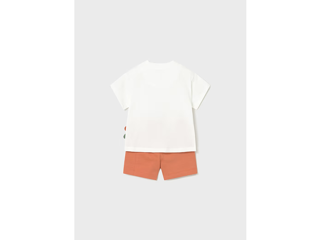 Set Mayoral Arcilla 2