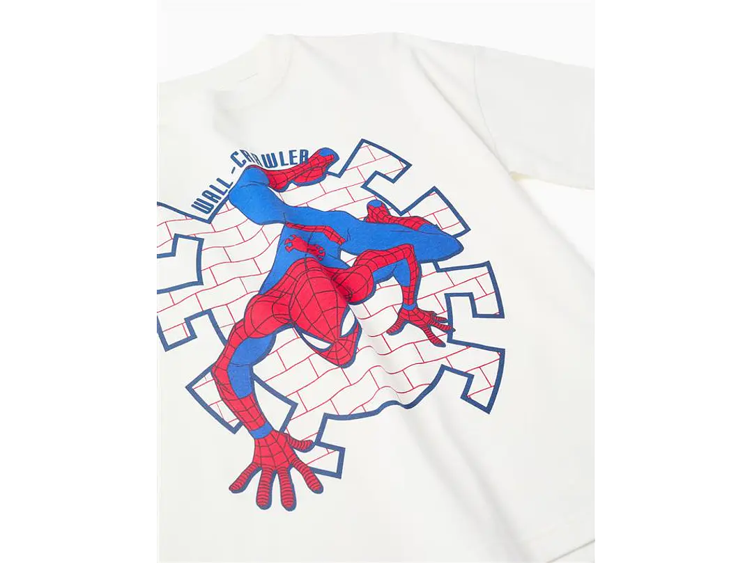 Conjunto Spiderman Zippy  4