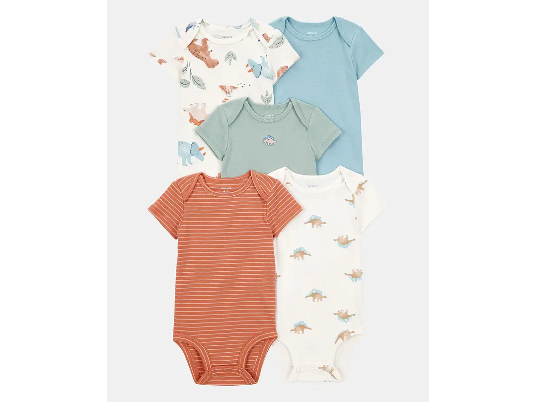 Set Body Carter X5  Dino 1