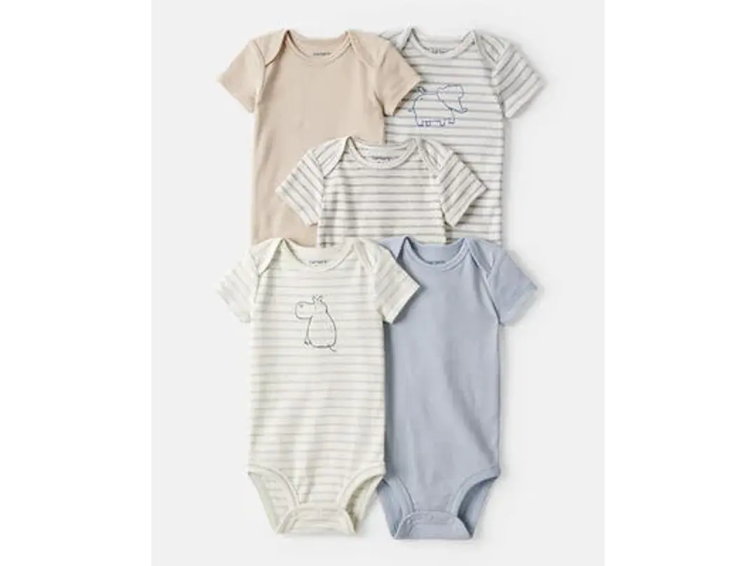 Set Body Carter X5  Raya 1