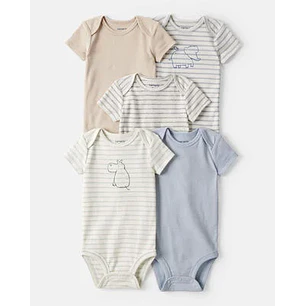 Set Body Carter X5  Raya