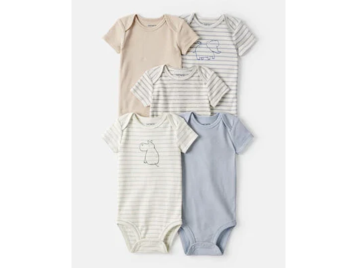 Set Body Carter X5  Raya 1