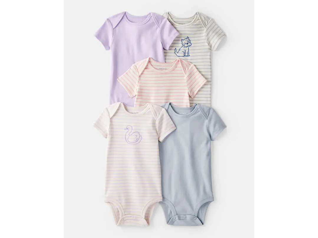 Set Body Carter X5 Lila-raya 1