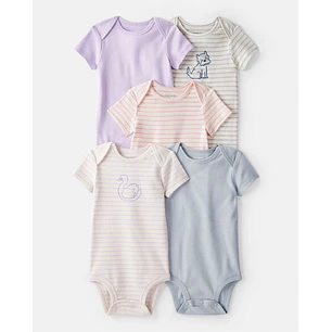 Set Body Carter X5 Lila-raya