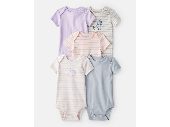 Set Body Carter X5 Lila-raya 1