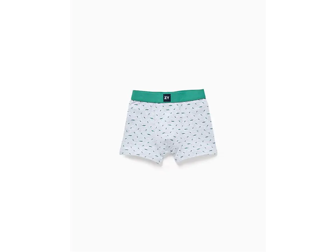 Boxer Losan  estampado 1