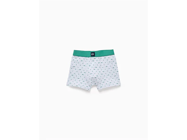 Boxer Losan  estampado 1