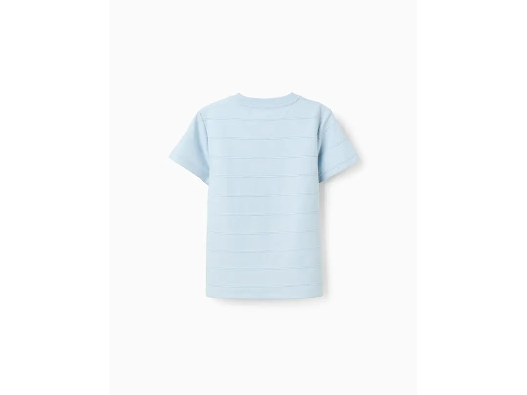 Polo Zipy 2