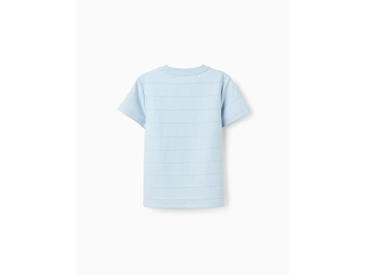 Polo Zipy 2