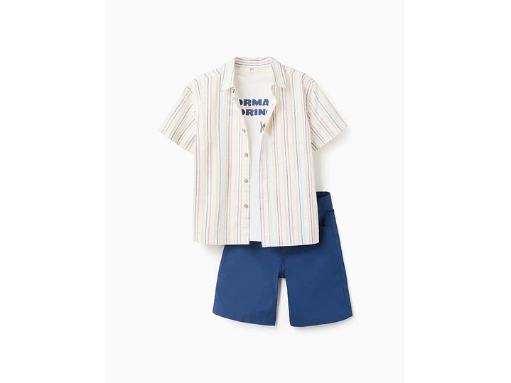 Set Zippy Rayas  1