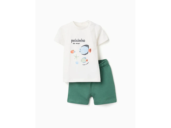 Set Zippy Acuario 1