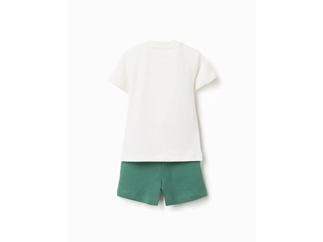 Set Zippy Acuario 4