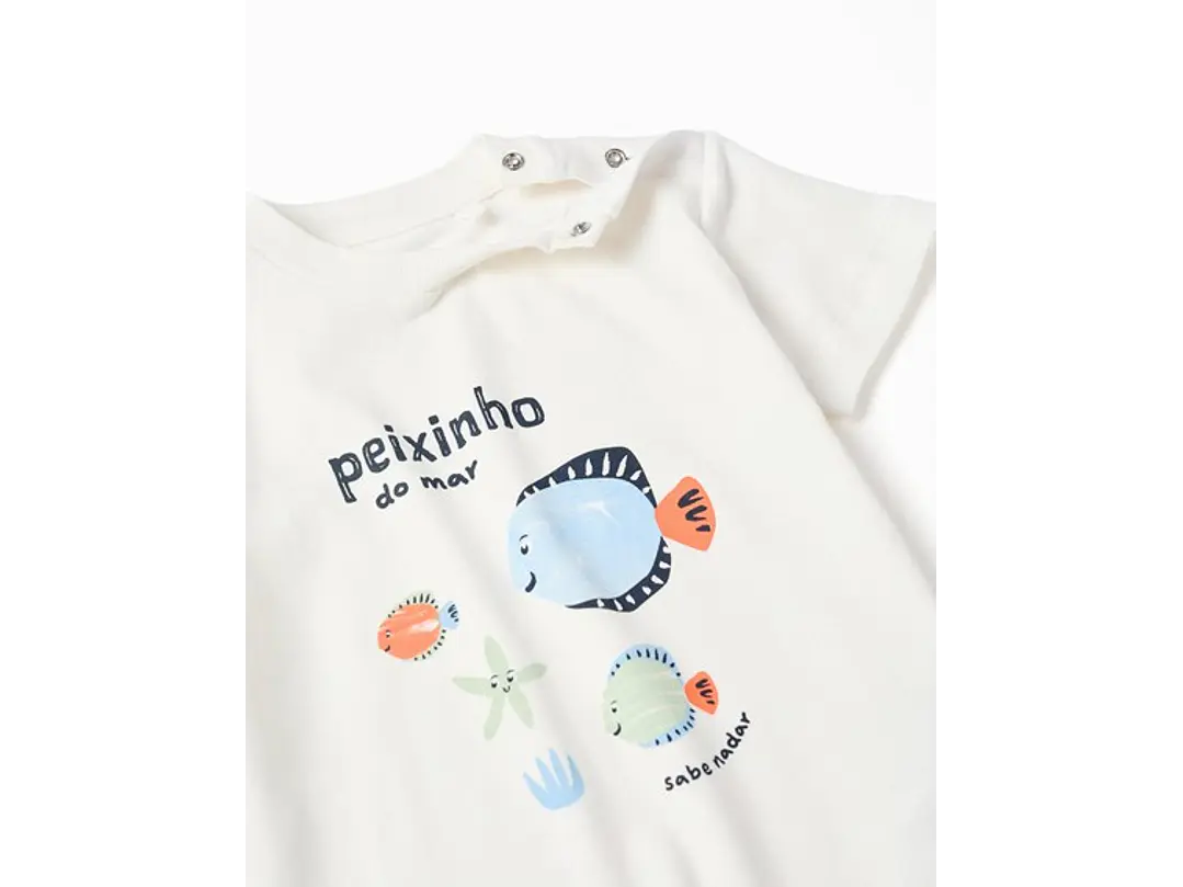 Set Zippy Acuario 2