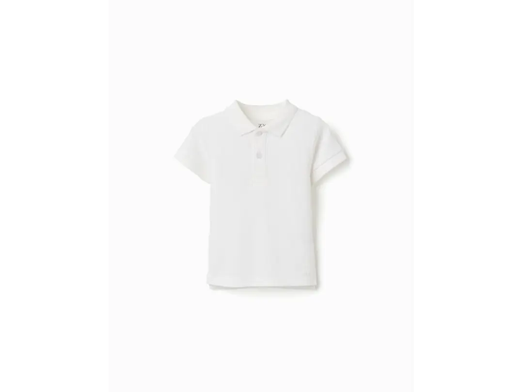 Polo Zippy 1