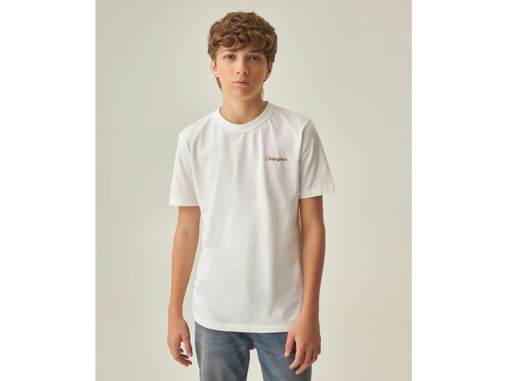 Camiseta Chevignon 1
